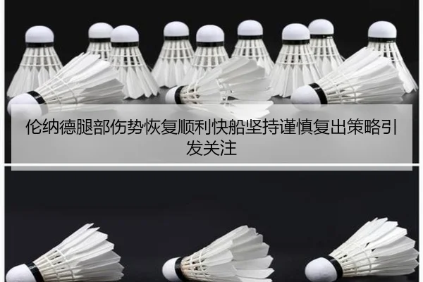伦纳德腿部伤势恢复顺利快船坚持谨慎复出策略引发关注